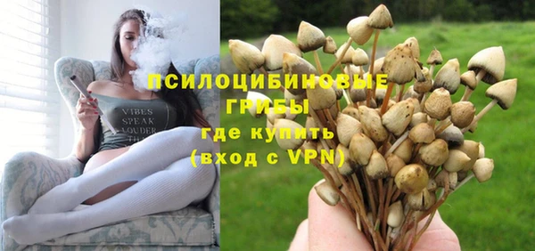 mdpv Бугульма